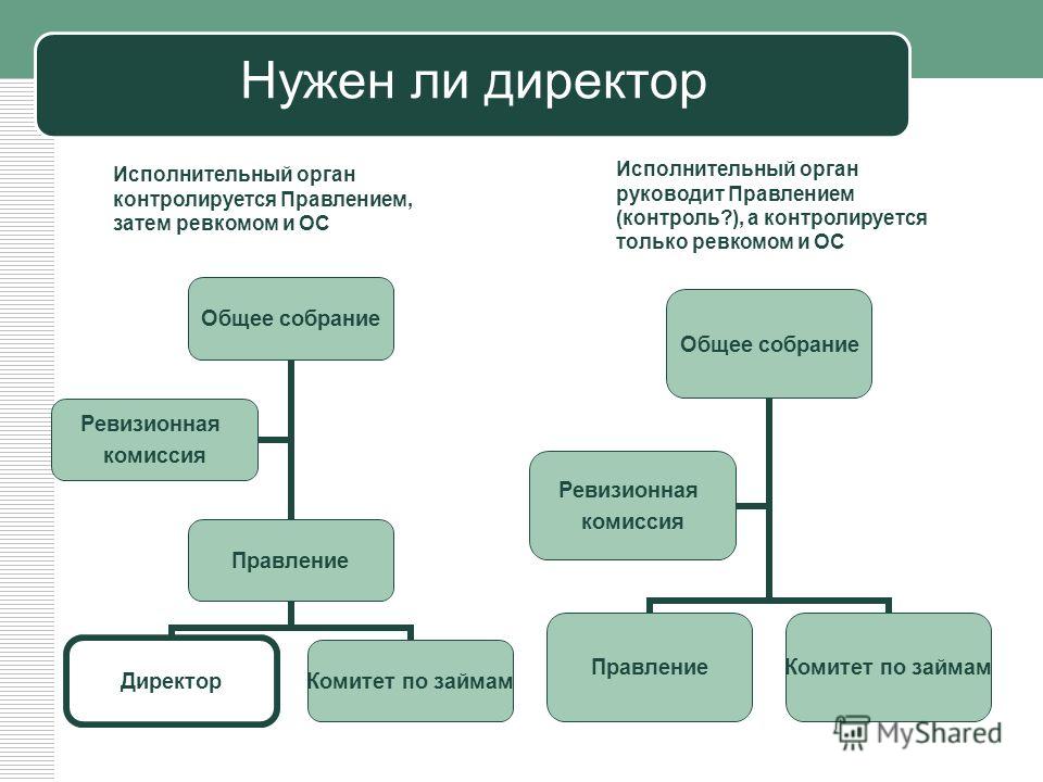 Исполнительный директор: чем отличается от сео, что нужно, чтобы получить должность