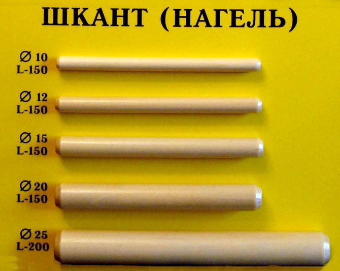 Чем отличается шкант от нагеля по своему назначению