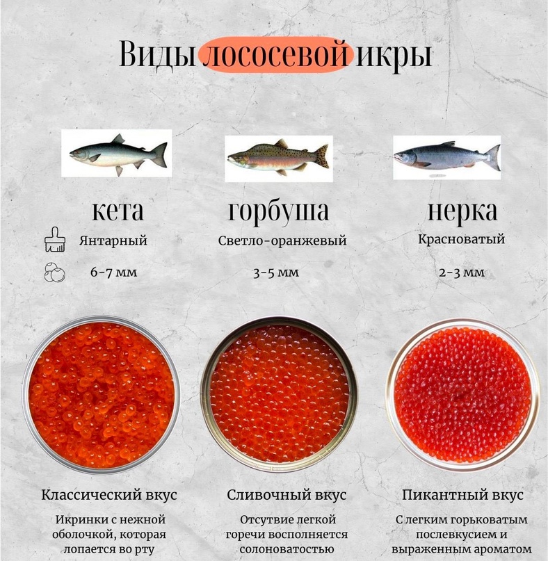 Чем отличается кета от горбуши