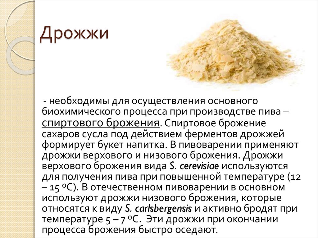 Замены дрожжам для теста - альтернативные ингредиенты - skaziportal.ru