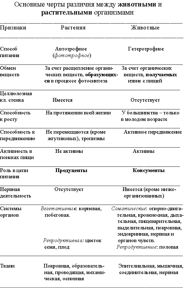 Рост животных и растений таблица. детальное сравнение растительной и животной клетки