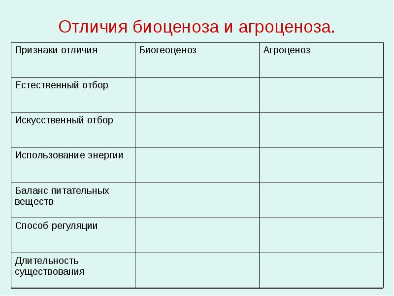 Биогеоценоз и агроценоз – что это такое и отличия