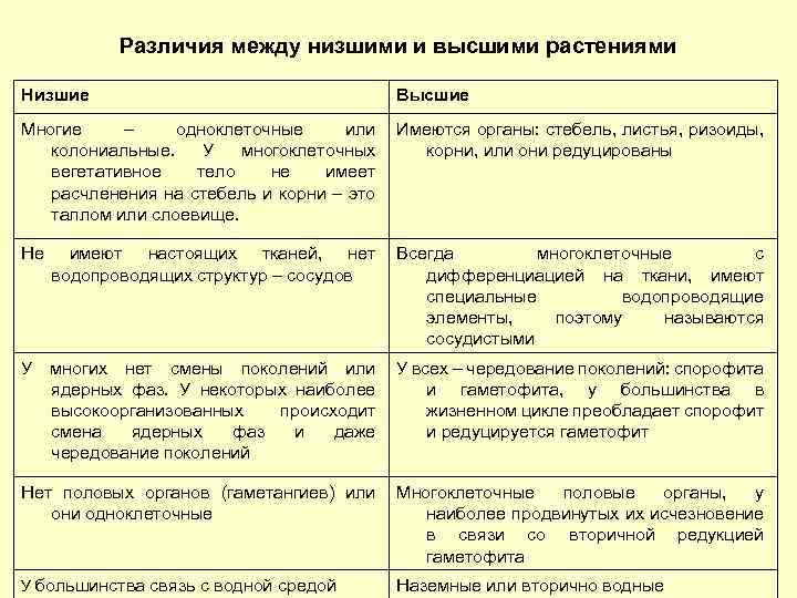 Высшие растения - признаки, характеристика, классификация, отличия