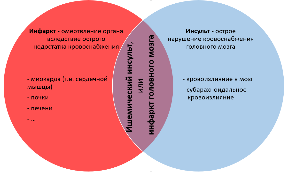 Чем отличается инсульт от инфаркта