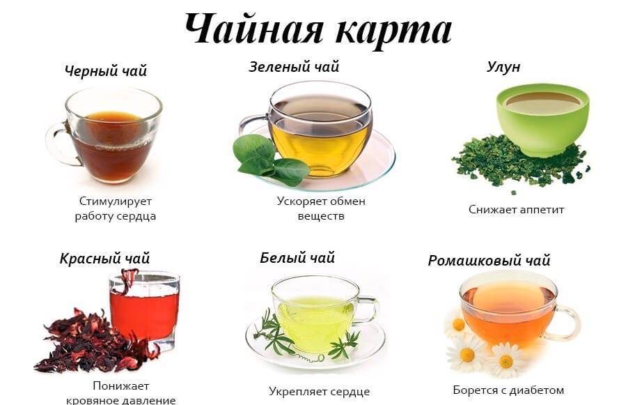 Белый чай — что это такое