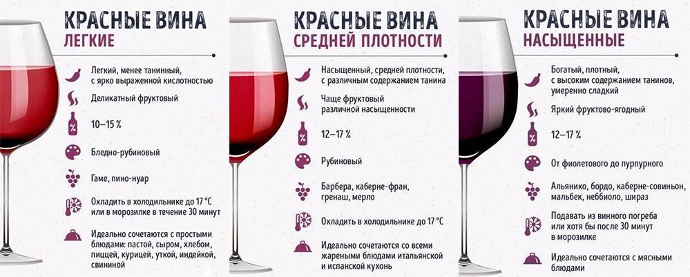 Чем отличается сухое вино от полусладкого: коротко и ясно
