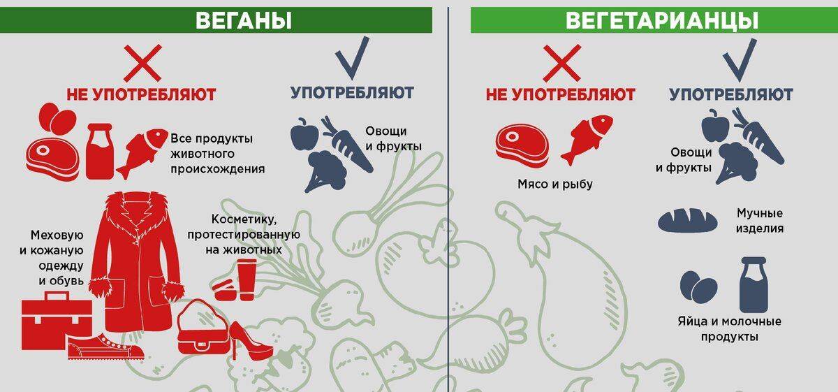 Плюсы быть вегитарианцем. почему люди становятся вегетарианцами?