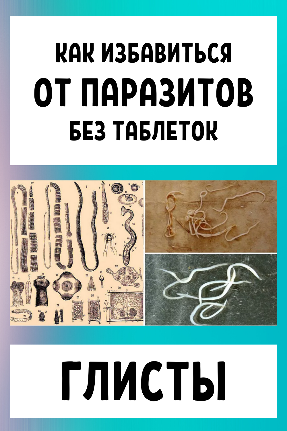 Глисты — 25 народных рецептов для избавления от паразитов