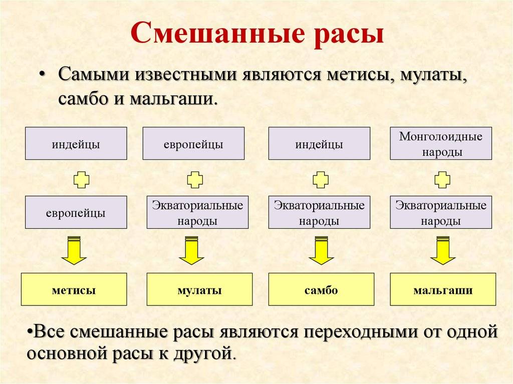 Разница между метисом и мулатом