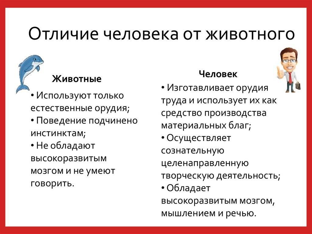 Разница между человеком и животным | в чем разница