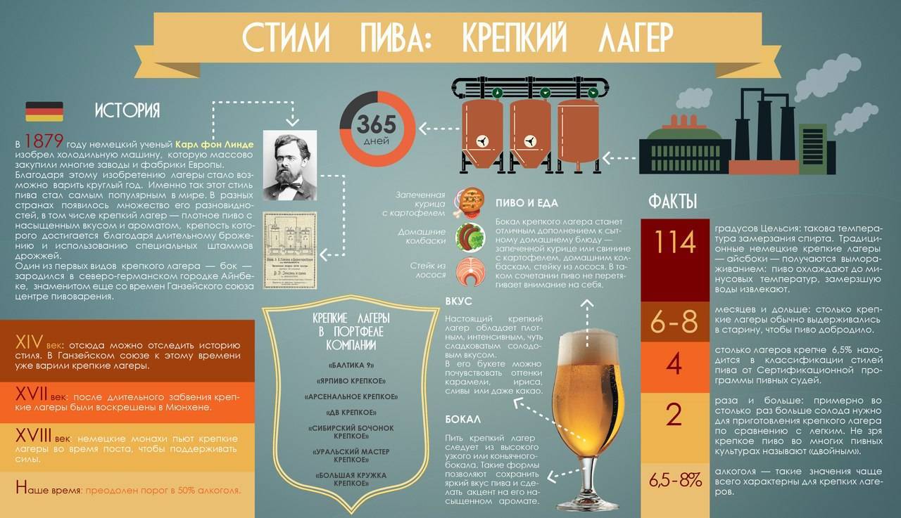 Эль: виды, отличия и обзор разных сортов