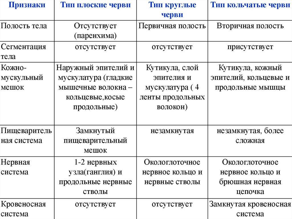 Какие особенности отличают кольчатых червей от круглых червей - разница между - 2024