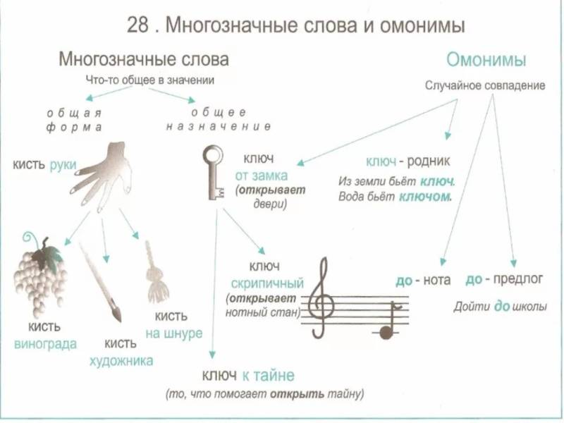Глава 3. лексика / как устроен наш язык. большой справочник по теории для 5-11 классов / русский на 5