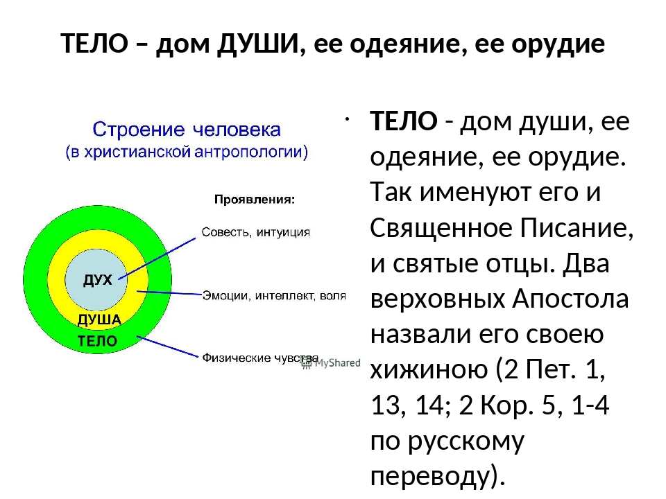 Дух и душа, души духов небесных в православии