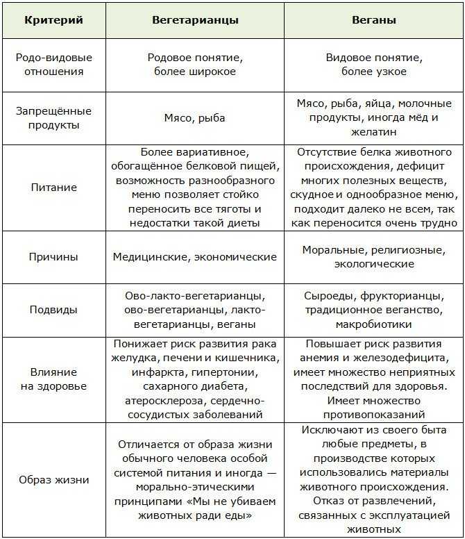 Чем отличается веган от вегетарианца? детальный разбор понятий