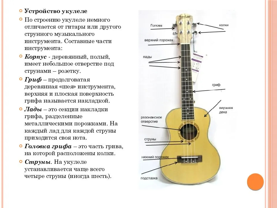 Чем отличается гитара от укулеле и что делает каждый тип инструмента уникальным - toptutuznai.ru