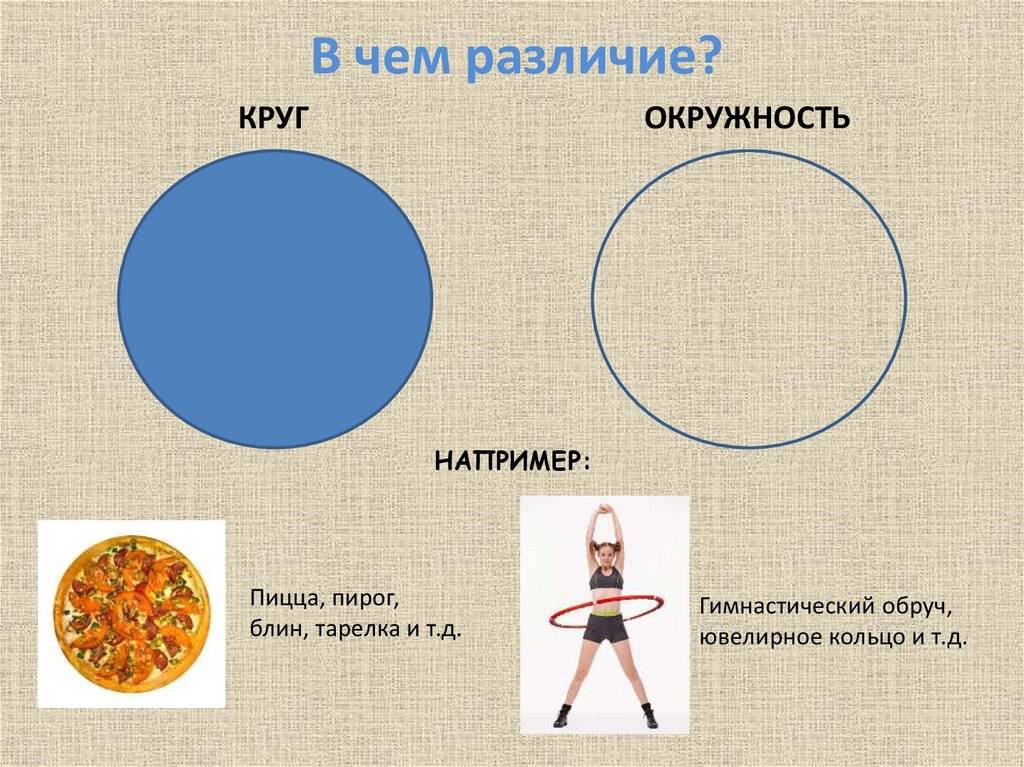 Окружность и круг: отличия и примеры в жизни
