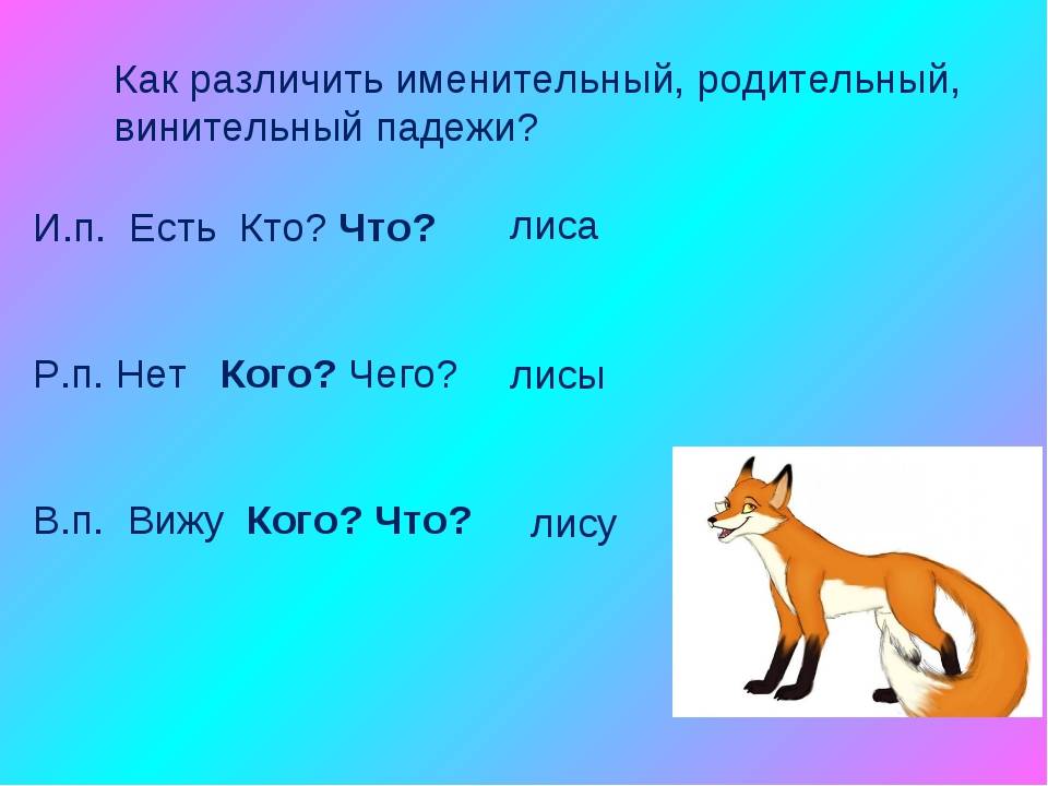 Как отличить родительный падеж от дательного падежа. именительный и винительный падежи имен существительных