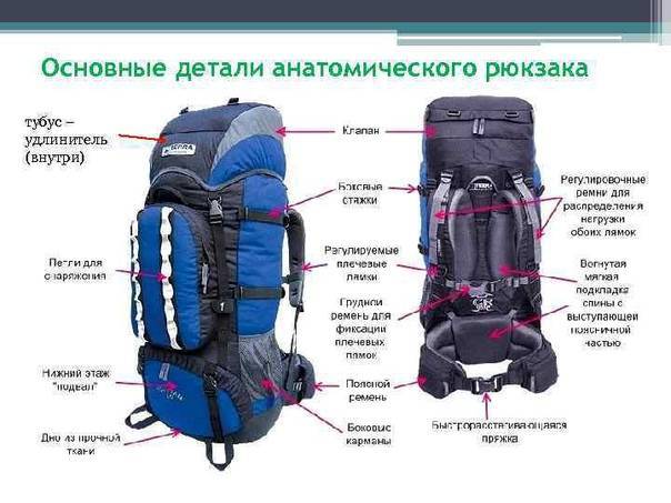 Как выбрать туристический рюкзак — гайд для новичка – рыбалке.нет
как выбрать туристический рюкзак — гайд для новичка – рыбалке.нет