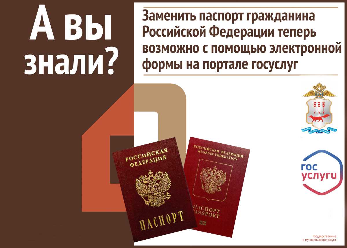 Замена паспорта рф через мфц - пошаговая инструкция