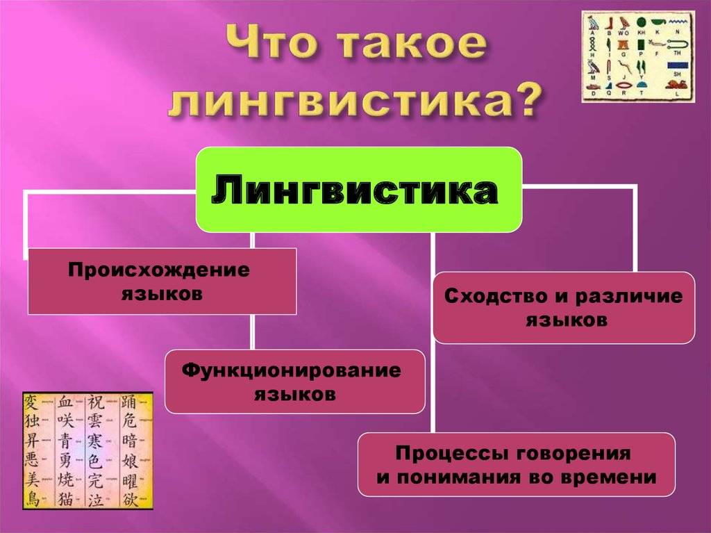 Разница между филологией и лингвистикой. чем лингвист отличается от филолога? кто такие лингвисты