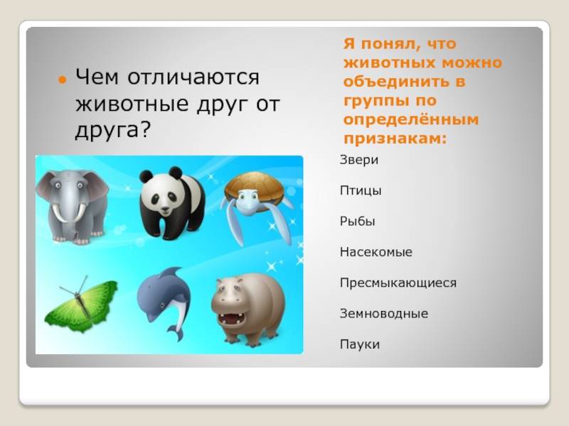 Кто такие звери? стр. 38 - 39. окружающий мир 1 класс 1 часть