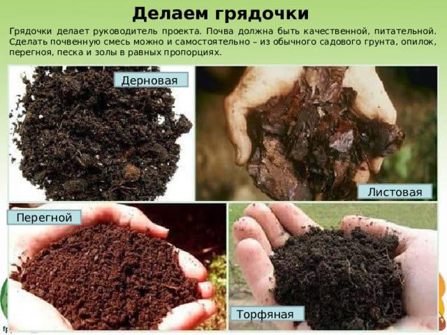 Что такое земля почва: основные понятия и значения