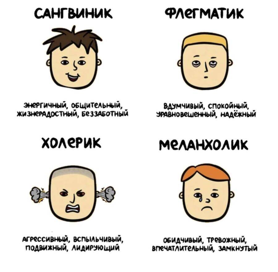 Темперамент ребёнка: как он влияет на процесс обучения