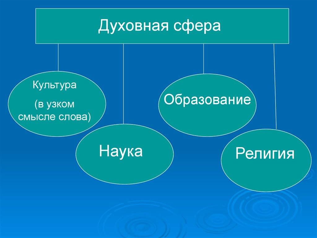 Сфера духовной жизни 8 класс онлайн-подготовка на ростелеком лицей | тренажеры и разбор заданий