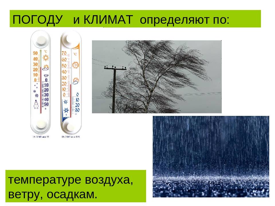 Погода и климат. география 5-6 класс. алексеев
