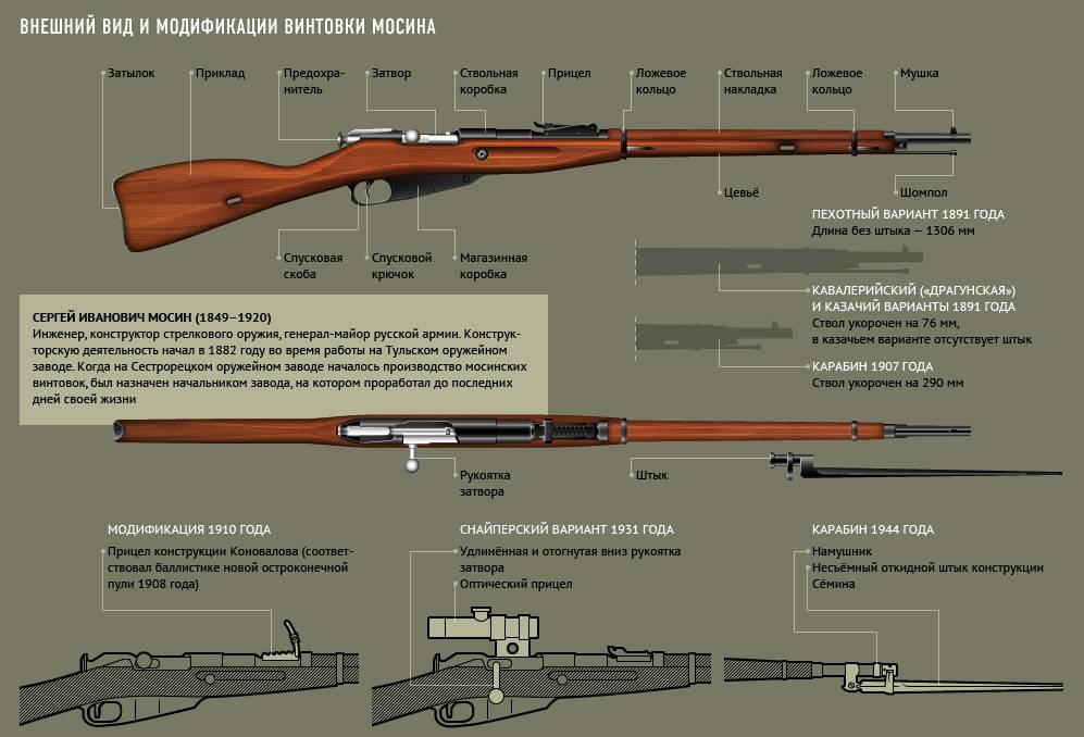 Чем винтовка отличается от ружья. отличие карабина от винтовки