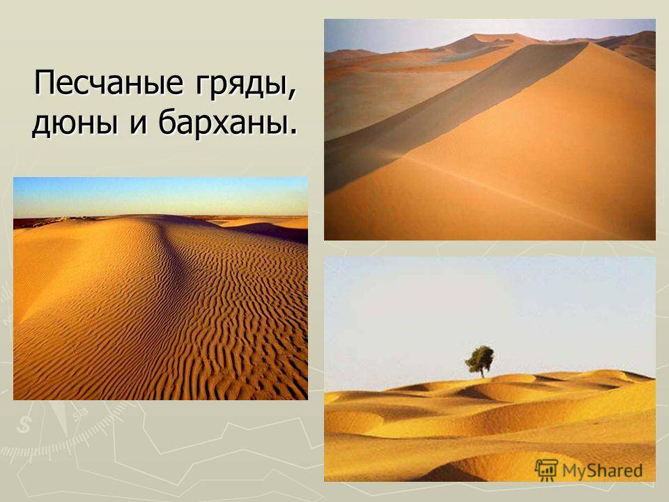 Как работают песчаные дюны - 2024 | планета земля