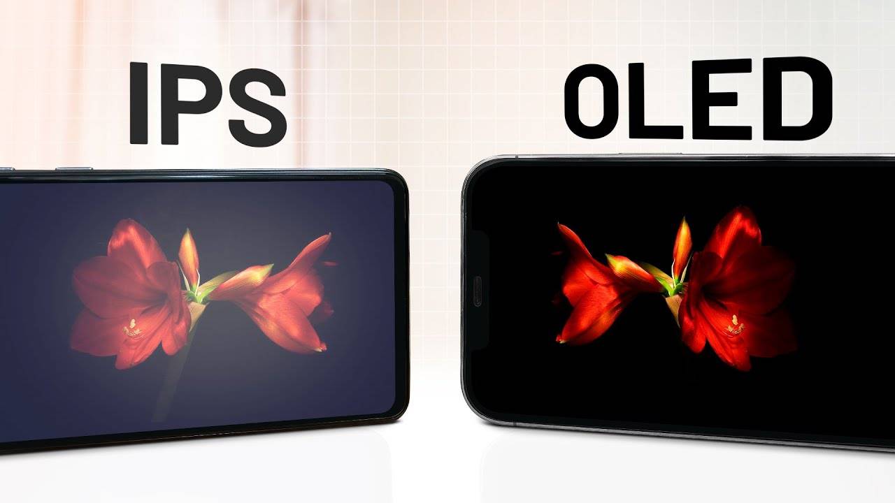 Какой экран лучше в телефоне: amoled или ips