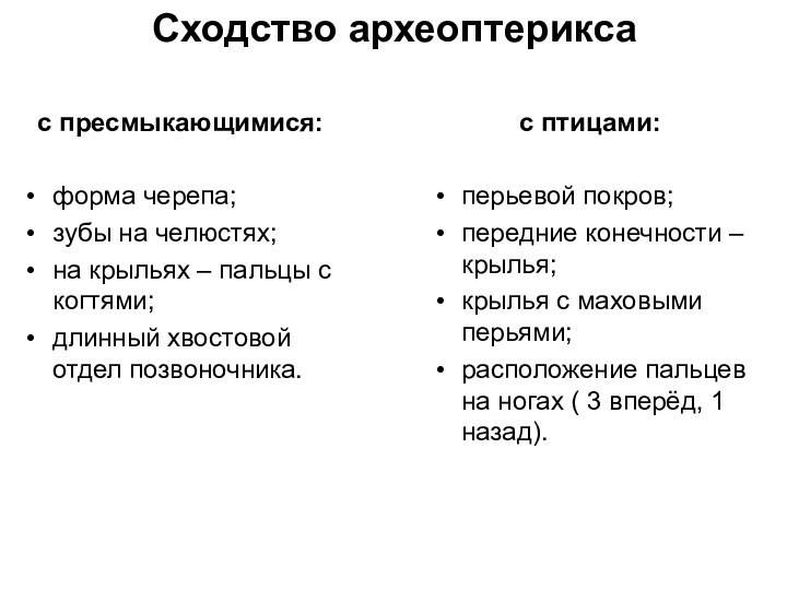 Разница между птицами и пресмыкающимися - всё о моде, тенденции и последние новинки