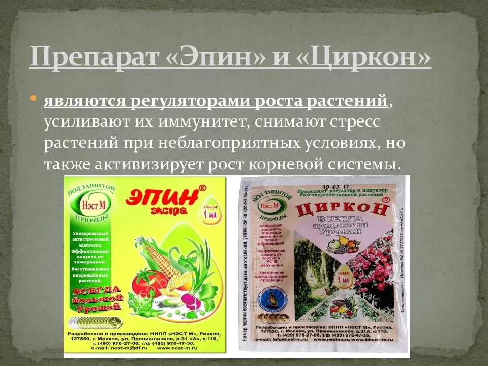 Эпин и циркон: как и когда использовать? - hubotvetov.ru