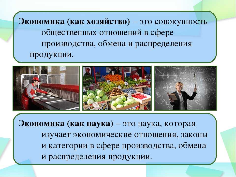 Экономика, ее роль в жизни общества
