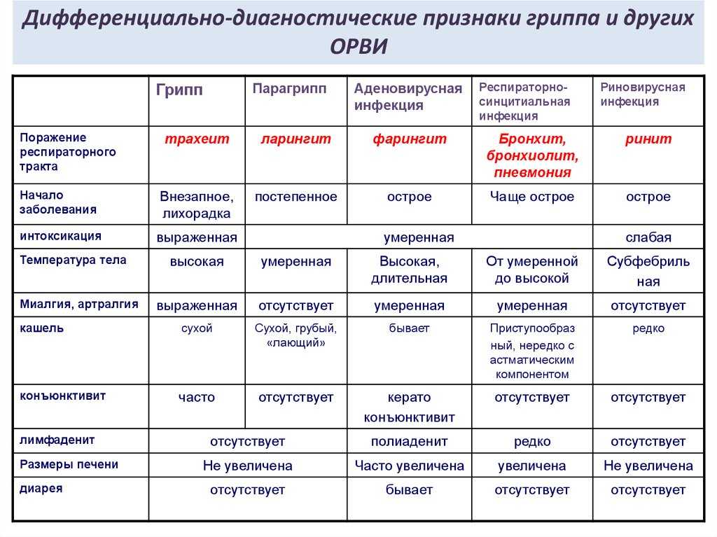 Чем грипп отличается от орви: как отличить по симптомам и признакам у взрослых, таблица отличий