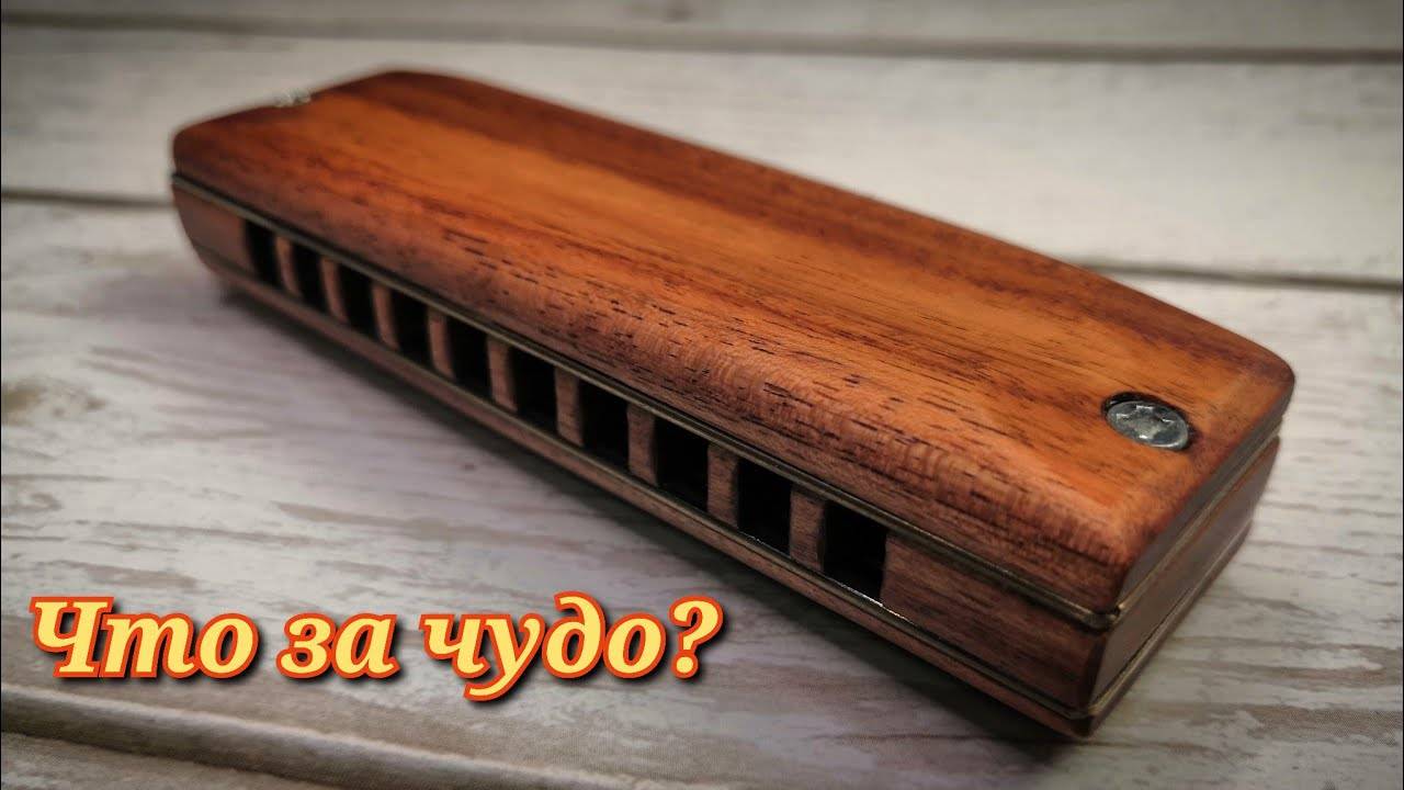 Губные гармошки для начинающих: как и какую лучше выбрать