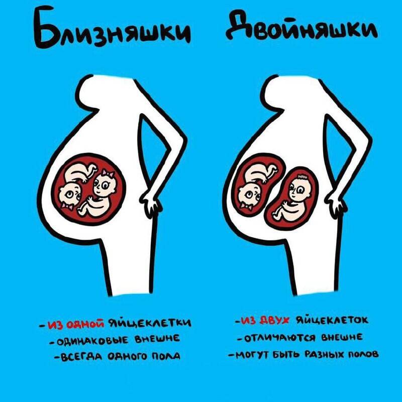 Чем отличаются близнецы от двойняшек - от чего зависит, различия
