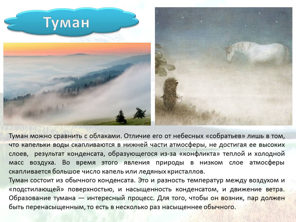 В чем разница между туманом и смогом? - 2024