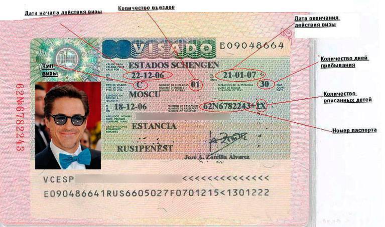 Виды и типы виз: шенгенских и других - краткосрочные и долгосрочные