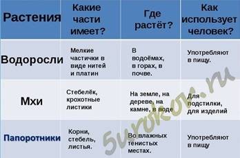 Разница между мхами и водорослями