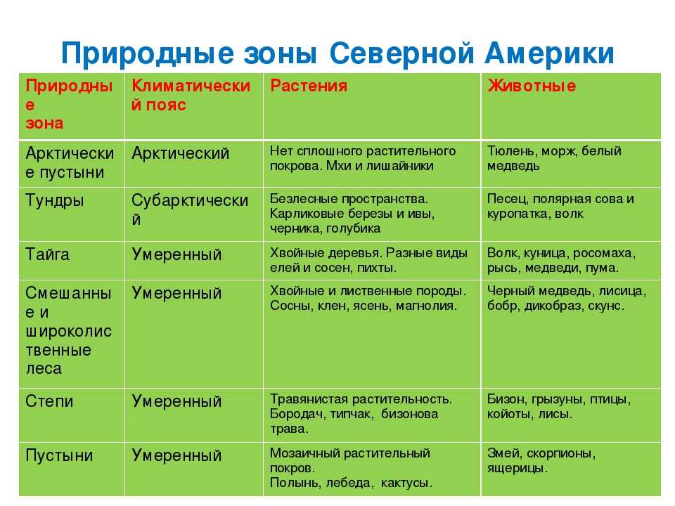 Погода и климат. география 5-6 класс