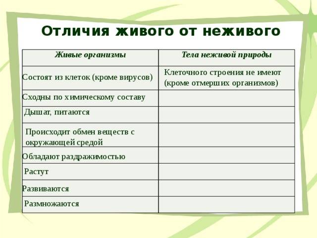 Что относится к живой природе и неживой: доходчивое объяснение