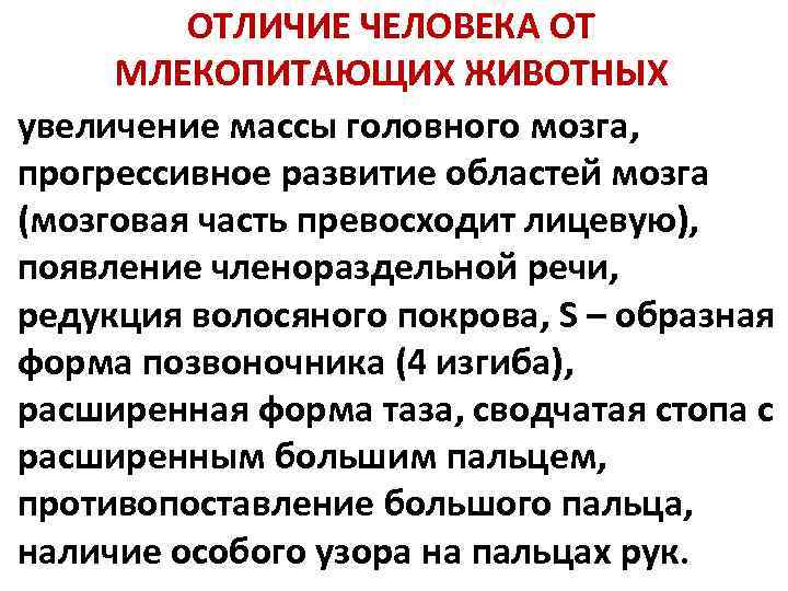 Отличие ⭐ человека от животных в обществознании: пять основных отличий