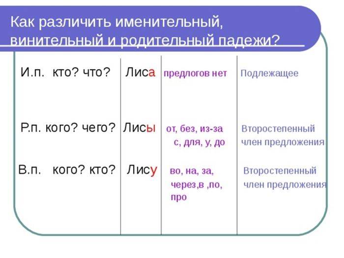 Винительный и родительный падежи на какие вопросы отвечают