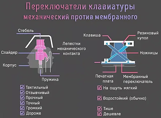 Типы клавиатур: механические, мембранные, ножничные | hyperx