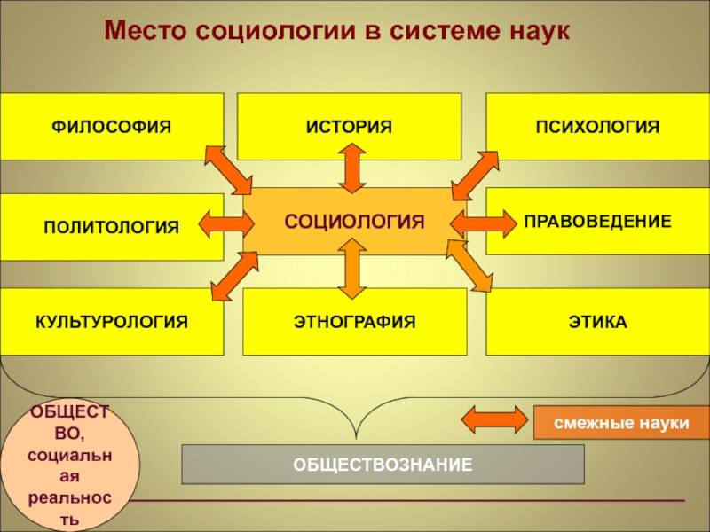 Sociology vs anthropology: difference and comparison