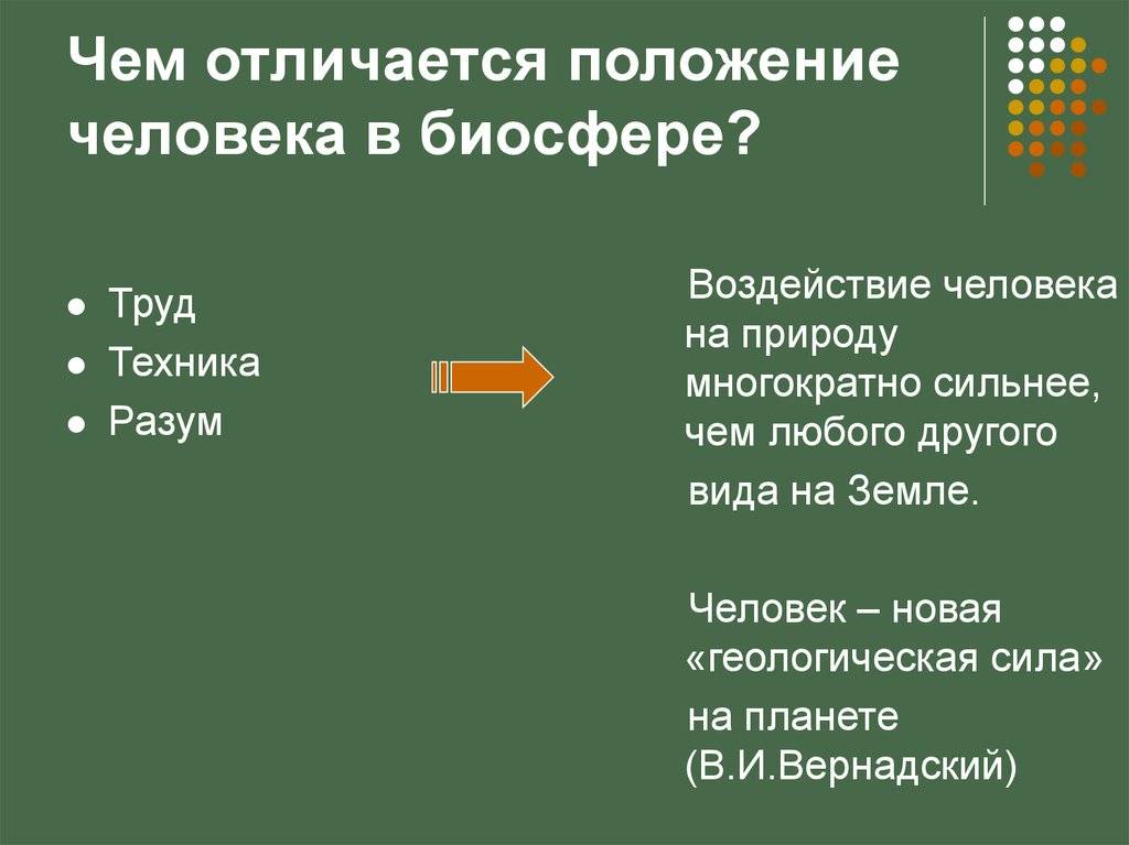 Чем отличается положение от инструкции по делопроизводству