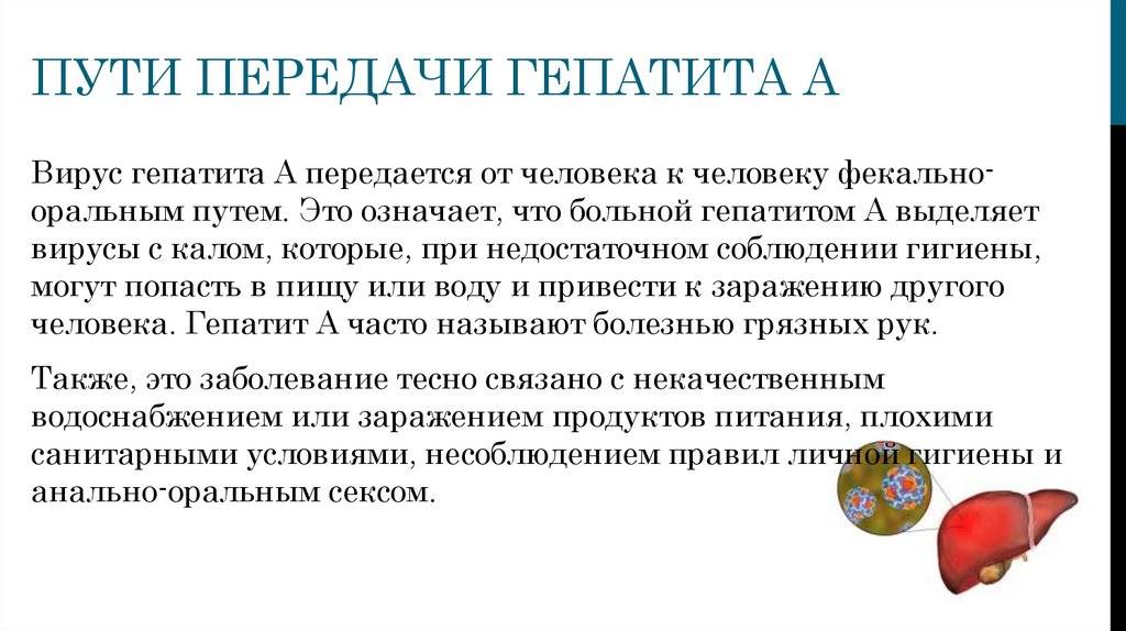 Гепатит а: что это такое и как передается, как лечит и как избежать